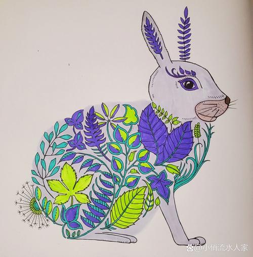 兔兔秘密花园版本大全：中文版、日文版等，满足你的需求