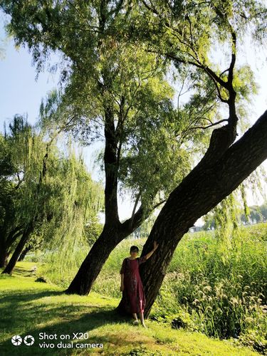寻找阳光下的野兽更新地址?这里有你想要的!