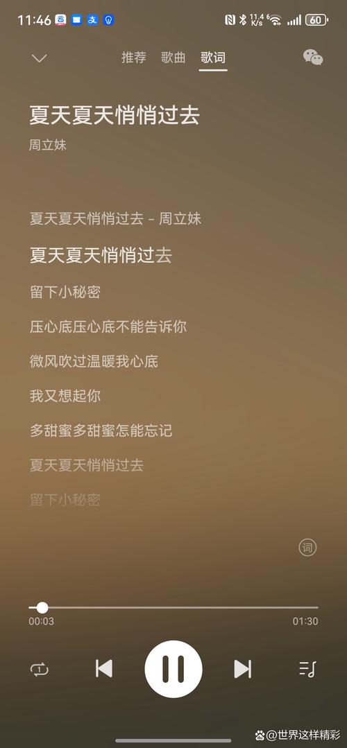轻松下载逝去的夏天歌曲，方法步骤详解！