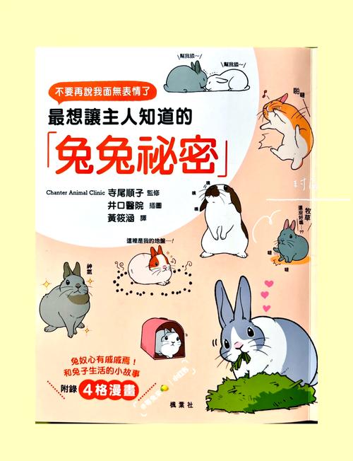 兔兔秘密花园在哪下载？安全可靠的下载途径推荐！