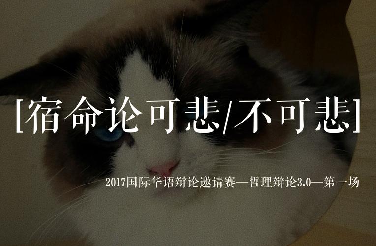 宿命论安卓下载:解读命运,改变人生轨迹