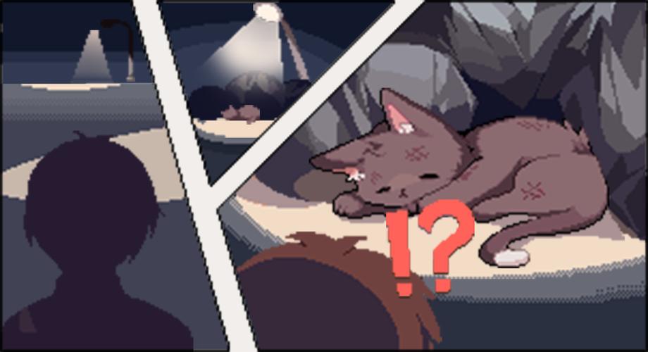 捡到千年猫杨过游戏：超萌猫娘等你来收养，超休闲玩法