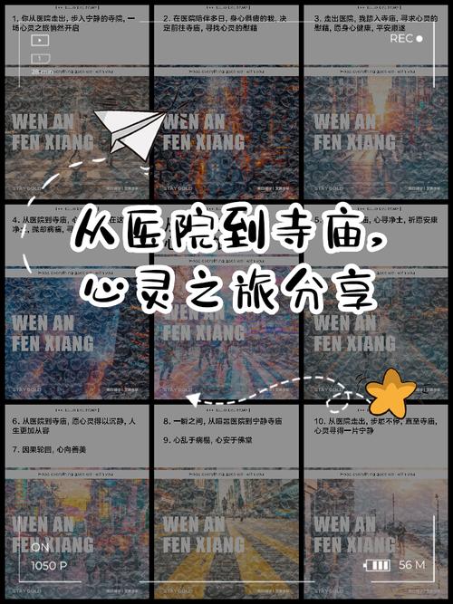 心灵旅达官网下载：便捷入口，开启你的心灵之旅