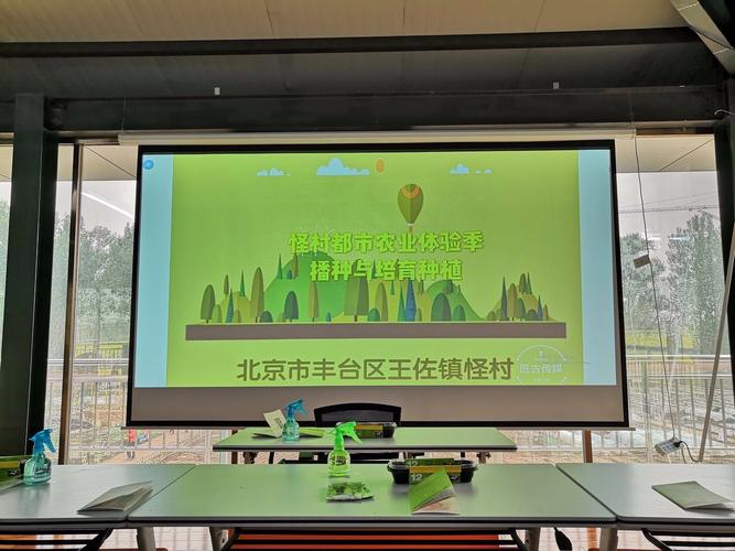 播种都市版本大全：超详细版本对比推荐