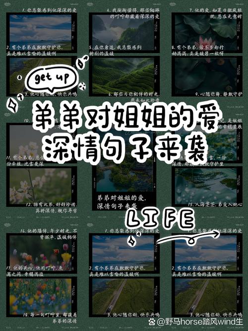 好玩的ADV游戏：厚颜无耻的十四行诗，你弟弟的最爱？