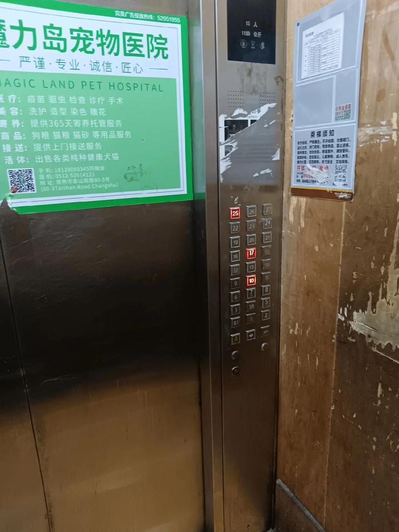 如何安全下载迷情医院?正规渠道下载避免风险