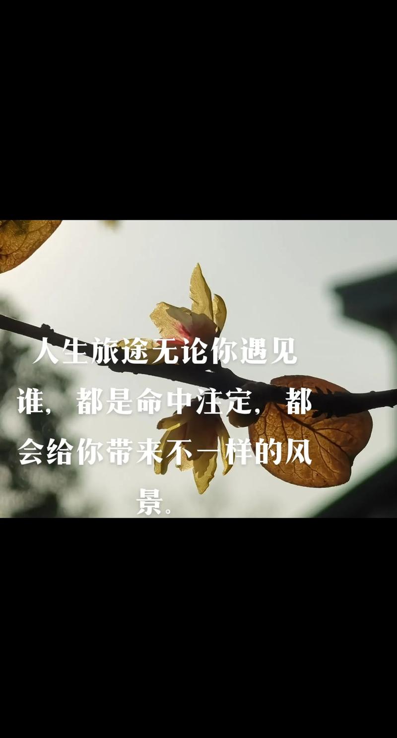 轻松玩转：命中注定的召唤术安卓汉化版攻略