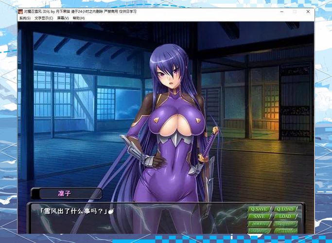 对魔忍雪风最新动态：动画、游戏及人物设定详解