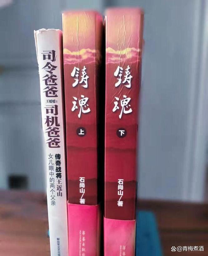 如何下载高傲妻子堕落记？分享几个简单方便的下载方法