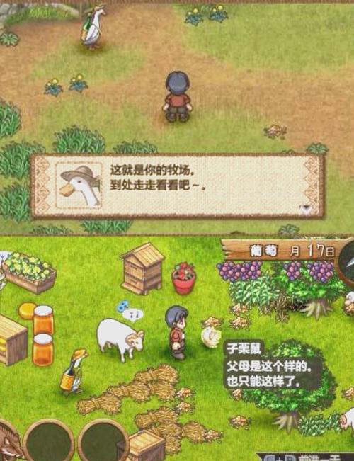 我为丝狂最新游戏体验:模拟经营与冒险的完美结合