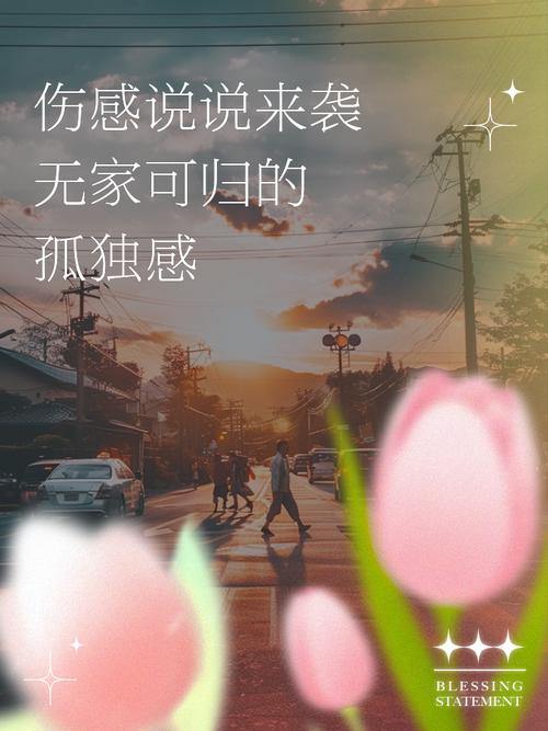 安全可靠的孤独的陌生人下载地址推荐,快来下载吧!