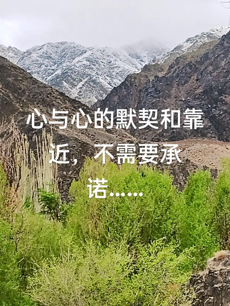 一个最好不要兑现的承诺安卓下载安全吗?
