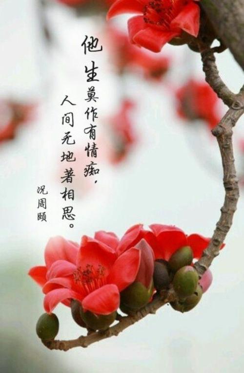 爱相思最新版本MP3下载：免费无损音质