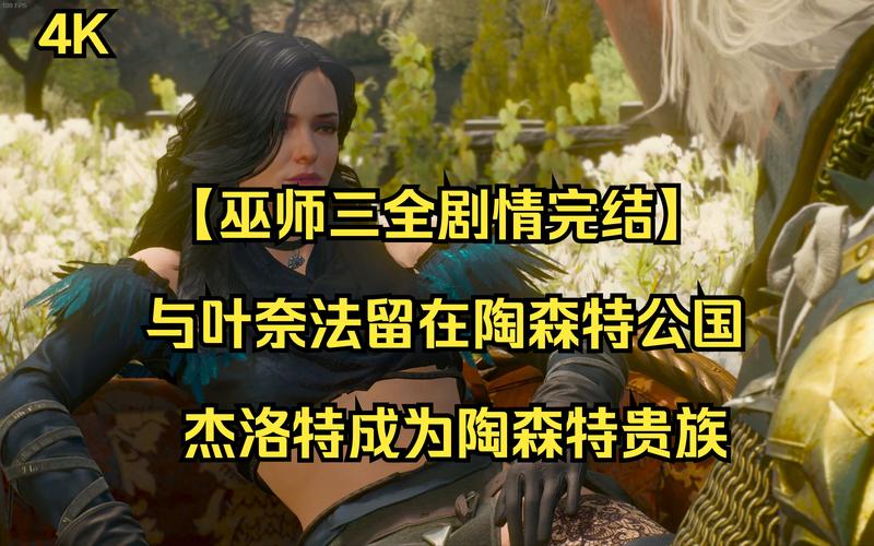 巫师的悖论最新版本下载地址:附带完整游戏安装教程