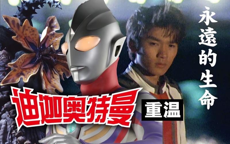 征服愿望官网：重温经典，再战江湖！