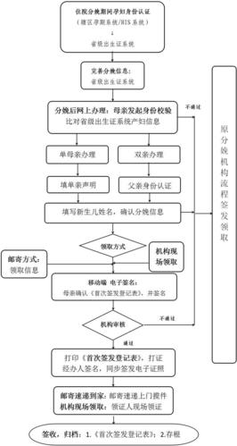 出生证明下载途径有哪些？教你轻松获取