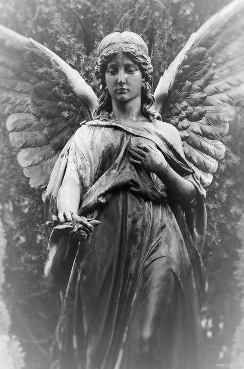 阿尔忒弥斯帕鲁版本大全:各个版本资源下载及对比