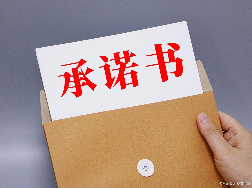 一个最好不要兑现的承诺安卓下载安全吗?