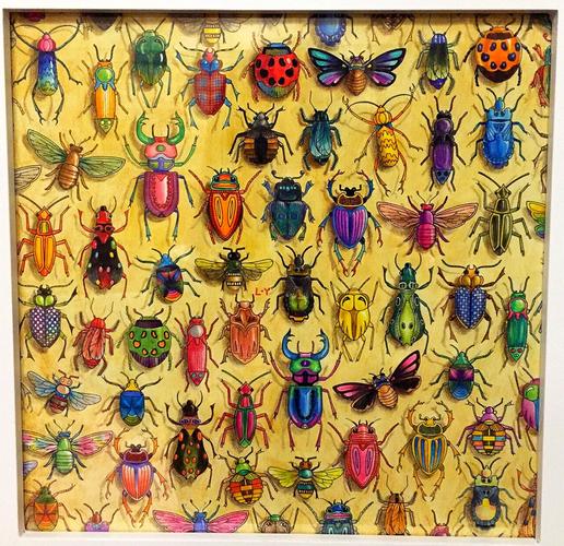 兔兔秘密花园官方正式版下载最新版：1.9G超清资源等你