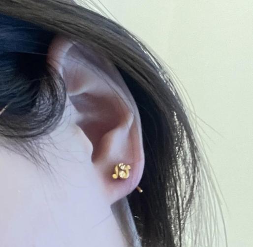 涩豆豆官方网站入口网址：涩豆豆官网便捷入口及使用指南