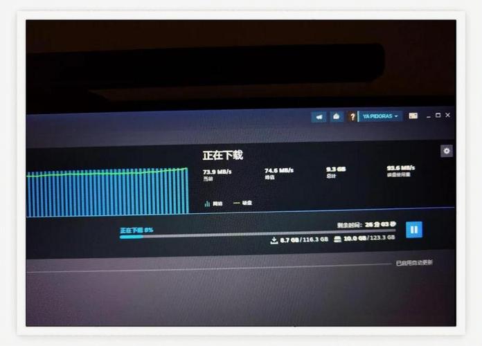 找不到斯宾尼城堡下载链接？试试这些方法