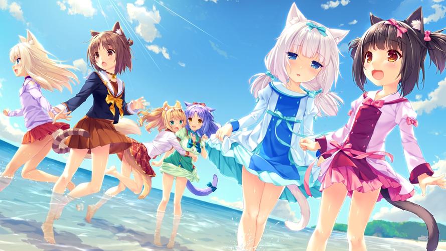 寻找Nekotto岛游戏官网？教你快速找到下载入口