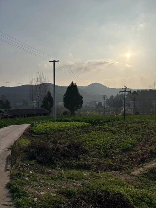 最新我的乡村生活：感受宁静祥和的乡村氛围