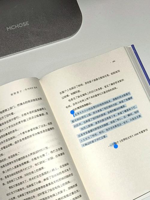 解锁妻子的困境：超详细游戏攻略及隐藏要素