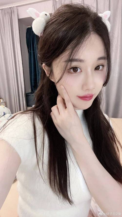 轩子巨二兔安卓汉化版在哪下载?这里有你想要的!