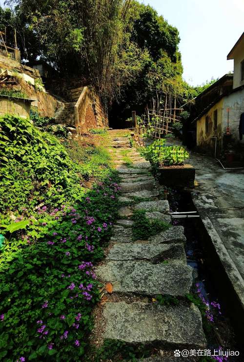 最新我的乡村生活：感受宁静祥和的乡村氛围