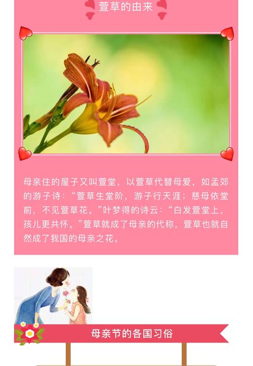 急需康乃馨俱乐部下载地址？试试这些靠谱途径