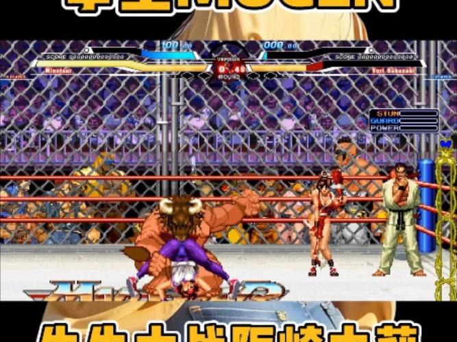 寻找全女格斗版本大全：最全格斗游戏合集