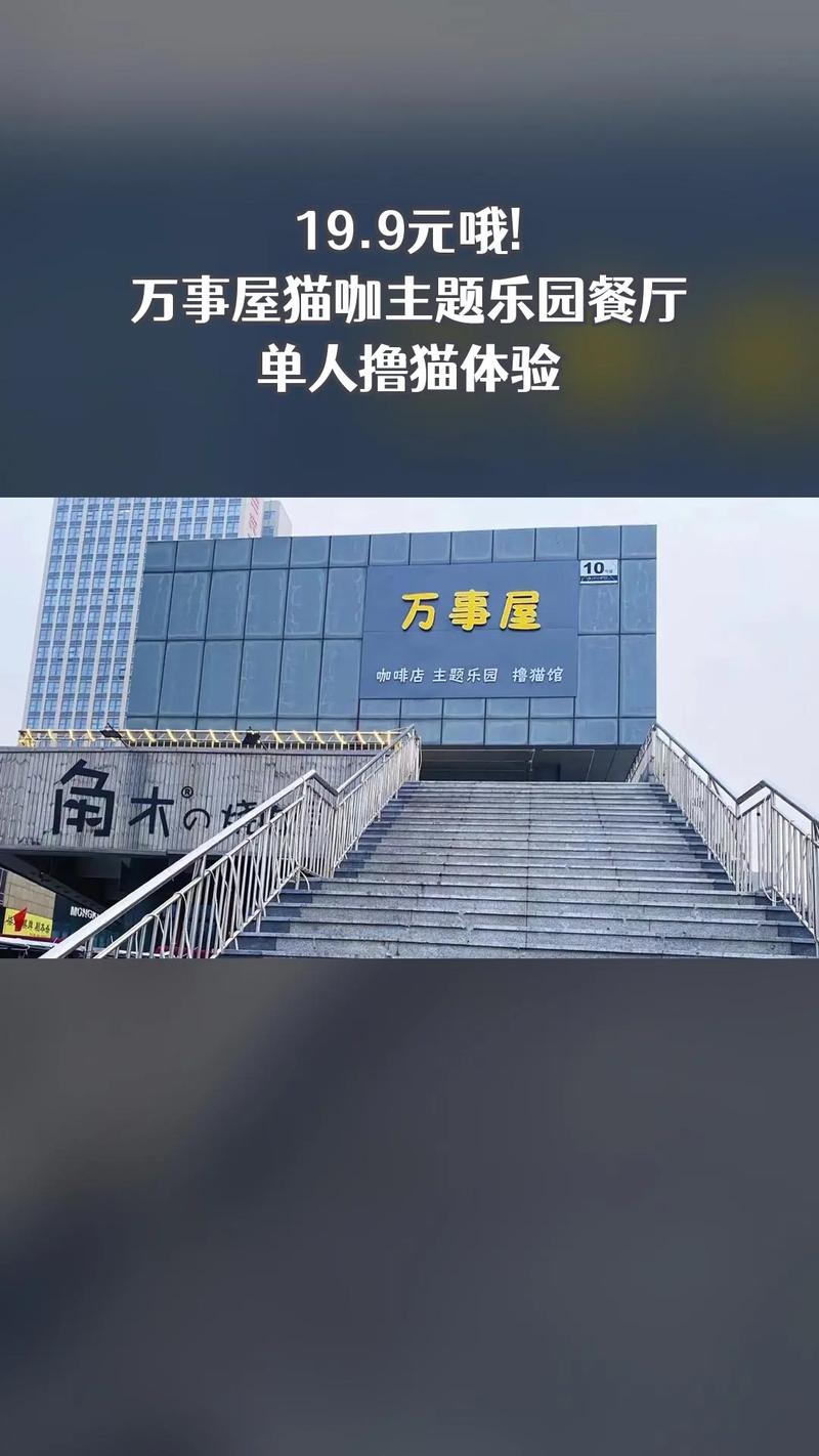 万事屋更新地址在哪？高清完整版免费观看！