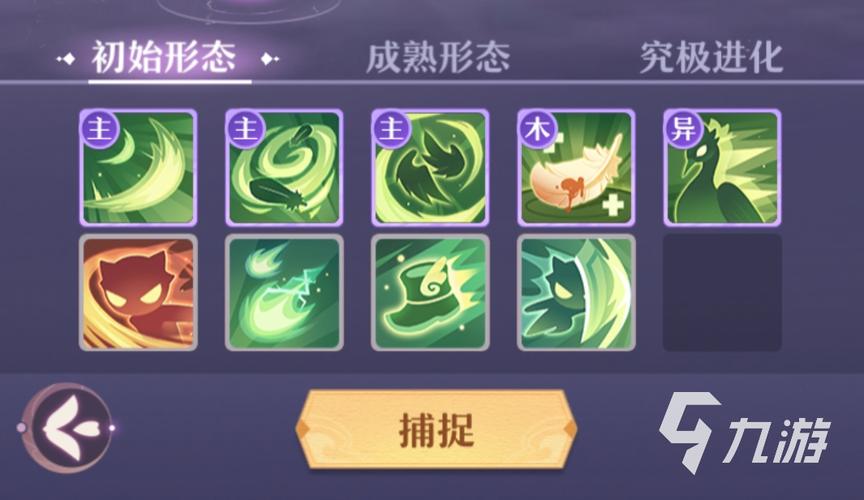 欲望岛ACG游戏深度解析：杨过角色养成攻略详解！