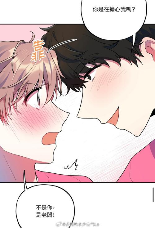 恋爱成双版本大全：收集控的必备收藏指南