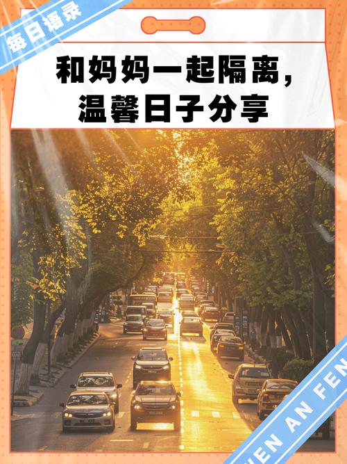 与妈妈一起隔离在哪下载？超简单下载方法分享