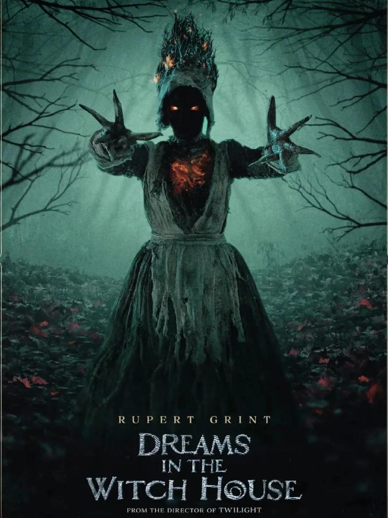 寡妇偏远客栈全版本:恐怖故事背后的真相是什么?