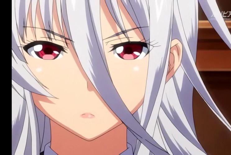 圣布伦希尔特学园少女骑士团:纯白胖次安卓版游戏详解