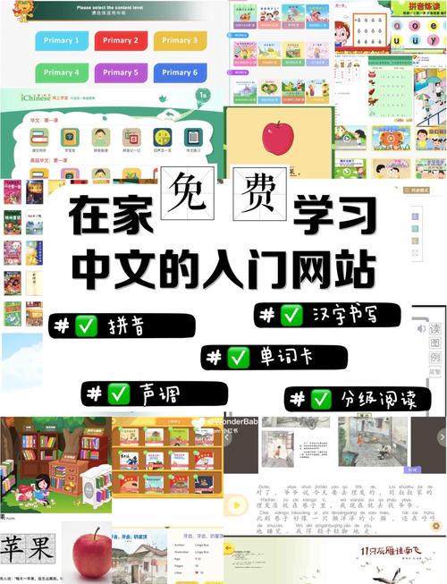 小孩子才做选择下载地址推荐,安全可靠的下载方式