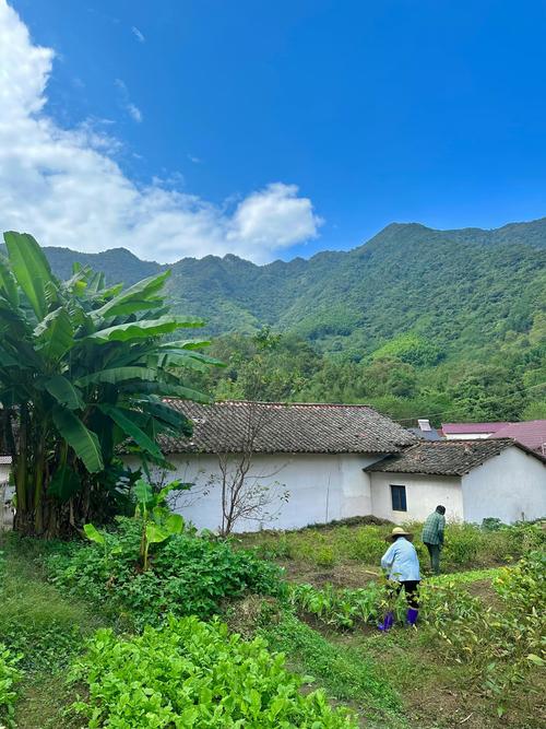 我的乡村生活版本大全:各个版本下载及游戏攻略