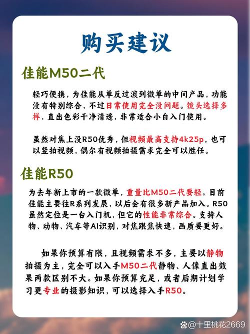 灵魂伴侣最新版本是多少？不同版本功能对比详解