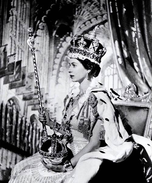 为了女王最新版本更新了什么?玩家都在关注的版本号!