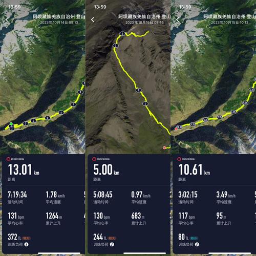 如何安全下载真三国无双绅士版?避坑指南分享