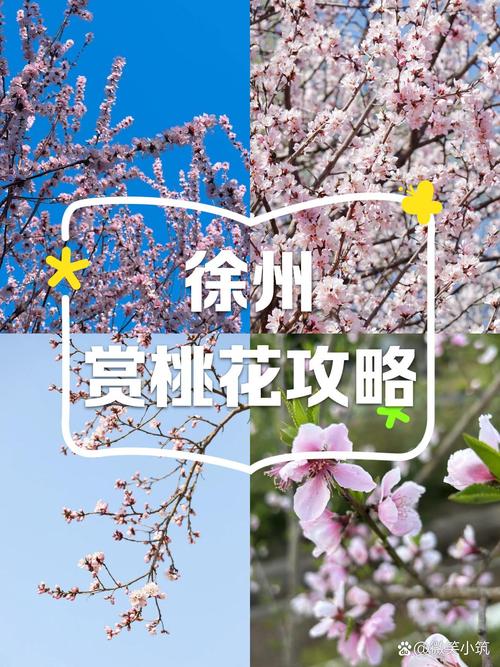 桃花境游戏攻略：隐藏任务及桃花仙露位置大公开