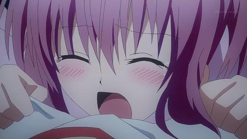 想玩TOlove？这里提供下载地址及使用方法