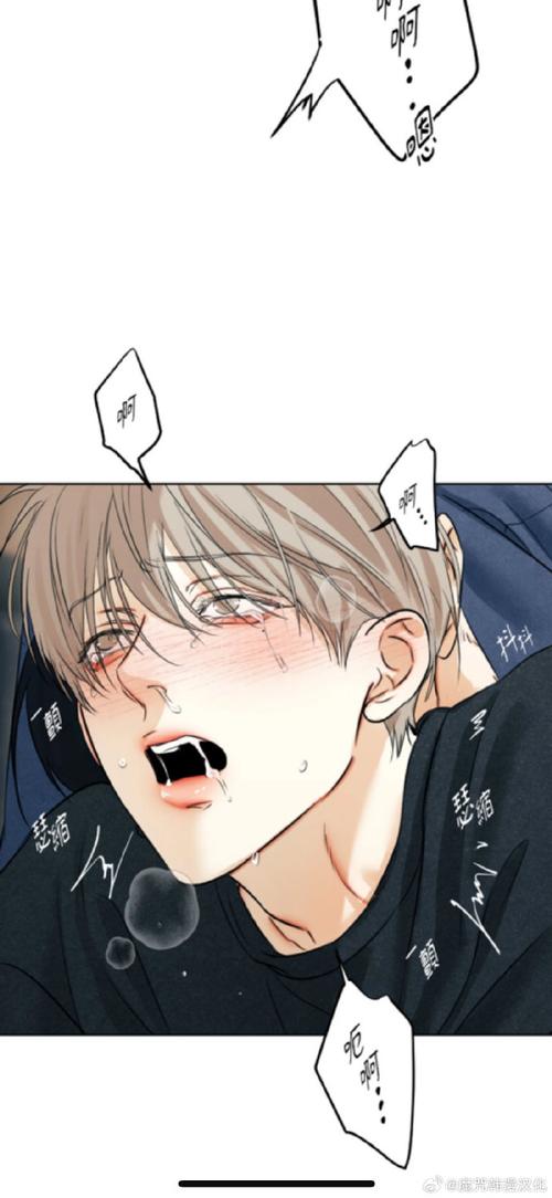 最新欲之冠安卓汉化版:高清画质流畅运行体验