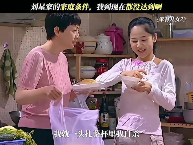 家有儿女2完结版安卓下载，童年回忆重温！