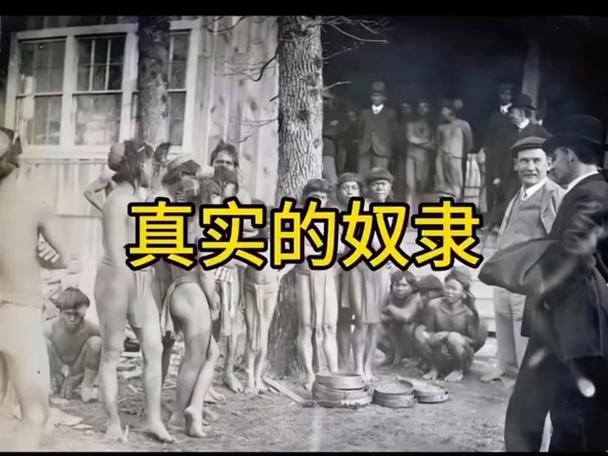 还在找奴隶训练更新地址？这里有你需要的最新信息