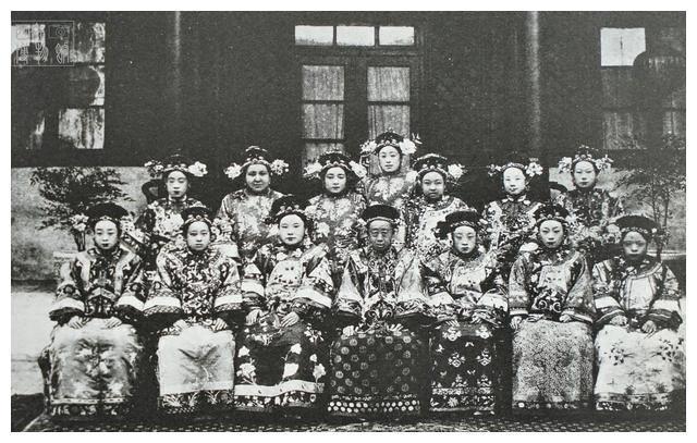 后宫佳丽汉化版下载大全:免费安全下载