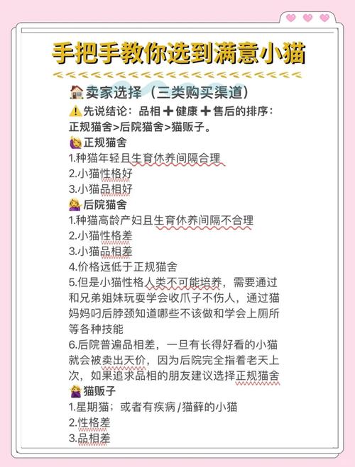 当你的猫咪游戏攻略：完美结局达成方法详解